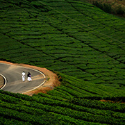 Drop taxi from Theni